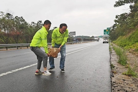 1755831933266.jpg 5.jpg